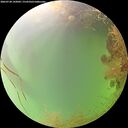 ./images/calvert/underwater/20260728/underwater20260728_142002M.jpg