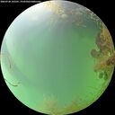 ./images/calvert/underwater/20260728/underwater20260728_142501M.jpg