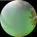 ./images/calvert/underwater/20260728/underwater20260728_145501M.jpg