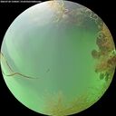 ./images/calvert/underwater/20260728/underwater20260728_150001M.jpg