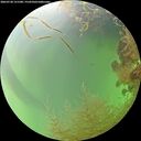 ./images/calvert/underwater/20260728/underwater20260728_151501M.jpg