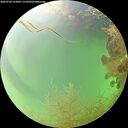 ./images/calvert/underwater/20260728/underwater20260728_152001M.jpg