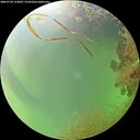 ./images/calvert/underwater/20260728/underwater20260728_153002M.jpg