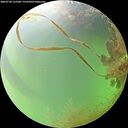 ./images/calvert/underwater/20260728/underwater20260728_153501M.jpg