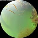 ./images/calvert/underwater/20260728/underwater20260728_154502M.jpg