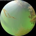 ./images/calvert/underwater/20260728/underwater20260728_155001M.jpg
