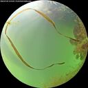 ./images/calvert/underwater/20260728/underwater20260728_155502M.jpg
