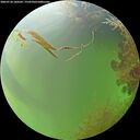 ./images/calvert/underwater/20260728/underwater20260728_160501M.jpg