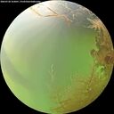 ./images/calvert/underwater/20260728/underwater20260728_163001M.jpg