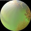 ./images/calvert/underwater/20260728/underwater20260728_163501M.jpg