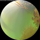 ./images/calvert/underwater/20260728/underwater20260728_164001M.jpg