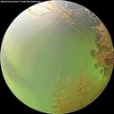 ./images/calvert/underwater/20260728/underwater20260728_164501M.jpg