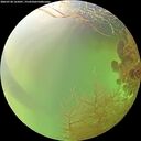 ./images/calvert/underwater/20260728/underwater20260728_165001M.jpg