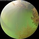 ./images/calvert/underwater/20260728/underwater20260728_165501M.jpg