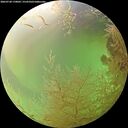 ./images/calvert/underwater/20260728/underwater20260728_170001M.jpg