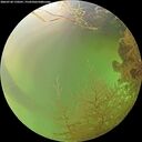 ./images/calvert/underwater/20260728/underwater20260728_170501M.jpg