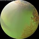 ./images/calvert/underwater/20260728/underwater20260728_171001M.jpg