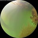 ./images/calvert/underwater/20260728/underwater20260728_171501M.jpg