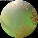./images/calvert/underwater/20260728/underwater20260728_172001M.jpg