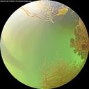./images/calvert/underwater/20260728/underwater20260728_173001M.jpg