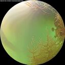 ./images/calvert/underwater/20260728/underwater20260728_173501M.jpg