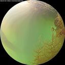 ./images/calvert/underwater/20260728/underwater20260728_174001M.jpg
