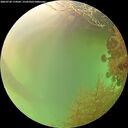./images/calvert/underwater/20260728/underwater20260728_174502M.jpg