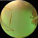 ./images/calvert/underwater/20260728/underwater20260728_175501M.jpg
