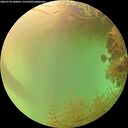 ./images/calvert/underwater/20260728/underwater20260728_180001M.jpg