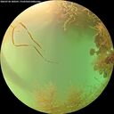 ./images/calvert/underwater/20260728/underwater20260728_180501M.jpg