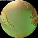 ./images/calvert/underwater/20260728/underwater20260728_181501M.jpg