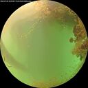 ./images/calvert/underwater/20260728/underwater20260728_182501M.jpg
