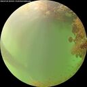 ./images/calvert/underwater/20260728/underwater20260728_185501M.jpg