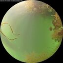 ./images/calvert/underwater/20260728/underwater20260728_190001M.jpg