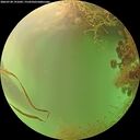 ./images/calvert/underwater/20260728/underwater20260728_191001M.jpg