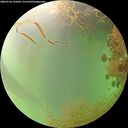 ./images/calvert/underwater/20260728/underwater20260728_193001M.jpg
