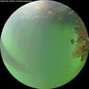 ./images/calvert/underwater/20260728/underwater20260728_194502M.jpg
