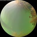 ./images/calvert/underwater/20260728/underwater20260728_200001M.jpg