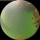 ./images/calvert/underwater/20260728/underwater20260728_200501M.jpg