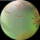 ./images/calvert/underwater/20260728/underwater20260728_201501M.jpg