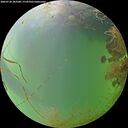 ./images/calvert/underwater/20260728/underwater20260728_203501M.jpg