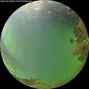 ./images/calvert/underwater/20260728/underwater20260728_204001M.jpg