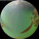 ./images/calvert/underwater/20260728/underwater20260728_204501M.jpg