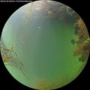./images/calvert/underwater/20260728/underwater20260728_205501M.jpg