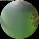 ./images/calvert/underwater/20260728/underwater20260728_210001M.jpg