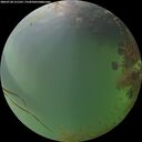 ./images/calvert/underwater/20260728/underwater20260728_211501M.jpg