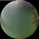 ./images/calvert/underwater/20260728/underwater20260728_212001M.jpg