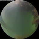 ./images/calvert/underwater/20260728/underwater20260728_212501M.jpg