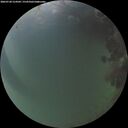 ./images/calvert/underwater/20260728/underwater20260728_214502M.jpg