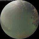 ./images/calvert/underwater/20260729/underwater20260729_054502M.jpg